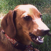 kody's picture