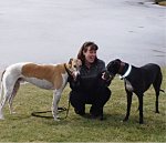 AustinDogTrainer's picture