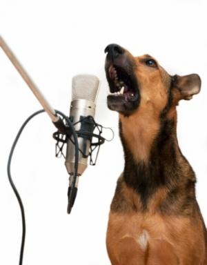 SingingShepherd.jpg SingingShepherd.jpg