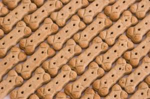 lots of dog biscuits