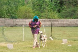 scan0001.jpg
