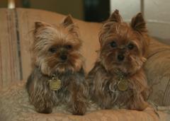 z_Bubba__Lilli_11-20-04_0.preview.JPG