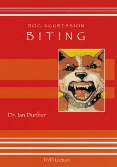 Dog Aggression: Biting (VIDEO)