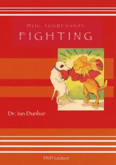 Dog Aggression: Fighting (VIDEO)
