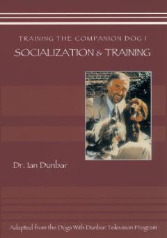 Training The Companion Dog 1 Socialization & Training (VIDEO)