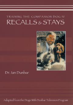 Training The Companion Dog 4: Recalls & Stays (VIDEO)