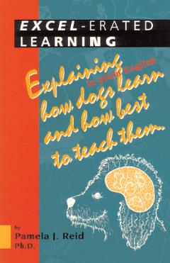 Excel-erated Learning