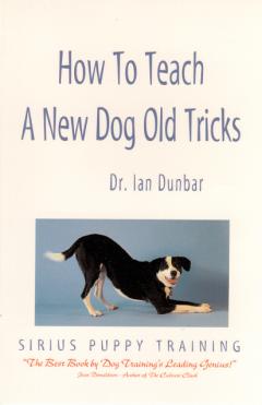 How to Teach A New Dog Old Tricks