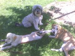 Made in the Shade