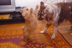 Play with me! Play with me!