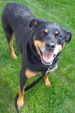 My beautiful Chyna girl