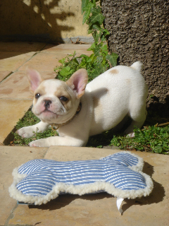 More Hugo!