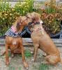 Chloe's reunion with her mama, Sala