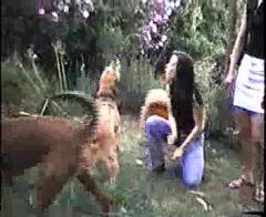 Howlathon.mp4