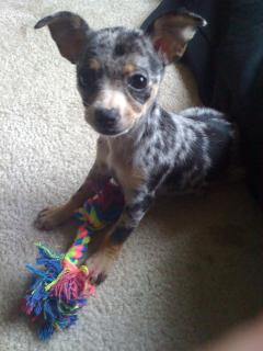 Let's play!