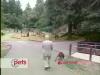 WalkInThePark.mov