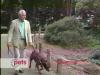 Walking&Heeling.mov
