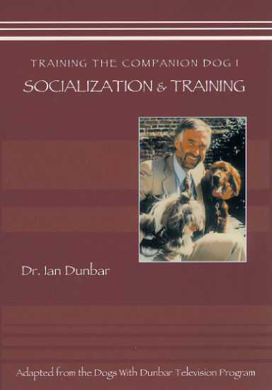 Training The Companion Dog 1 Socialization & Training (VIDEO)