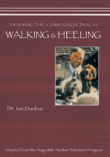 Training The Companion Dog 3 Walking &amp; Heeling (VIDEO)