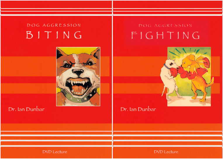 Canine Aggression: Biting & Fighting