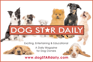 DogStarDaily eCard