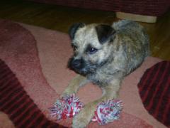 Fergy  with her toy