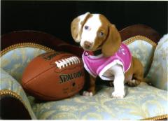 Ginger loves football!!