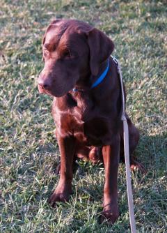Jack from Pennsylvania