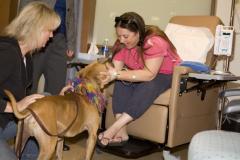Leo the Michael Vick dog - now therapy dog 2 Leo the Michael Vick dog - now therapy dog 2