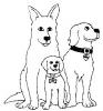Our Furry Friends