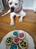 Layla and the Jelly Doughnut Cupcakes!