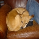 Jill Marie O Brien's picture