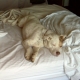 jenlampton's picture