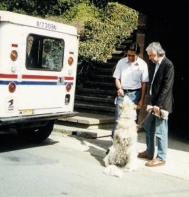 03_PhoenixMailman.jpg