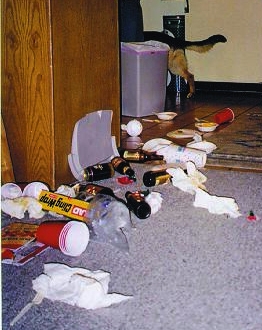 06_cropped Nancy sheptrash.jpg