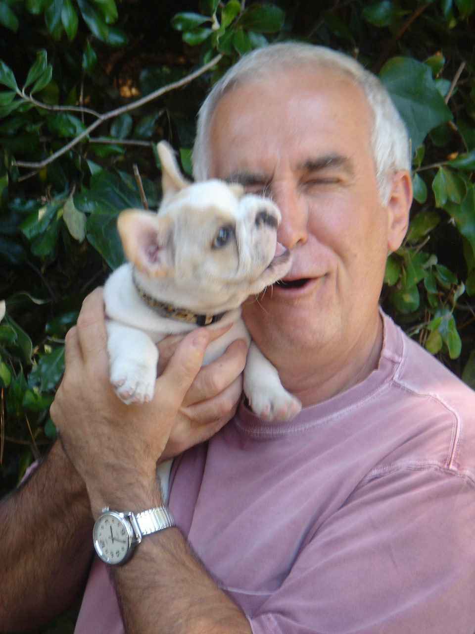 Ian dunbar shop puppy biting