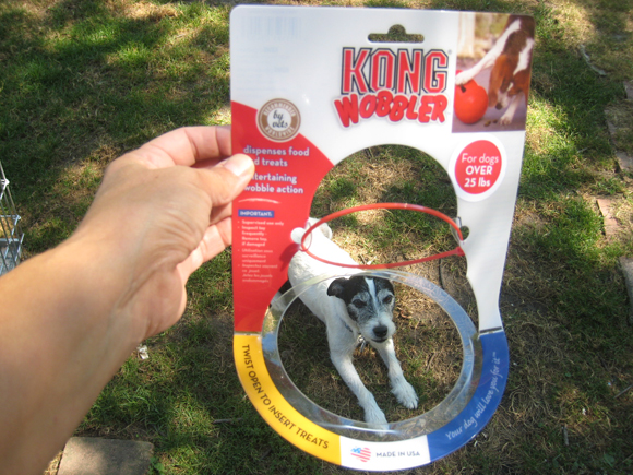 KONG Wobbler Dog Toy Review