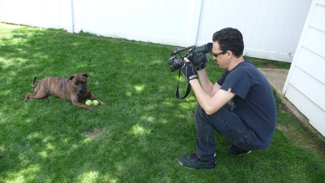 Under one woof sales camera