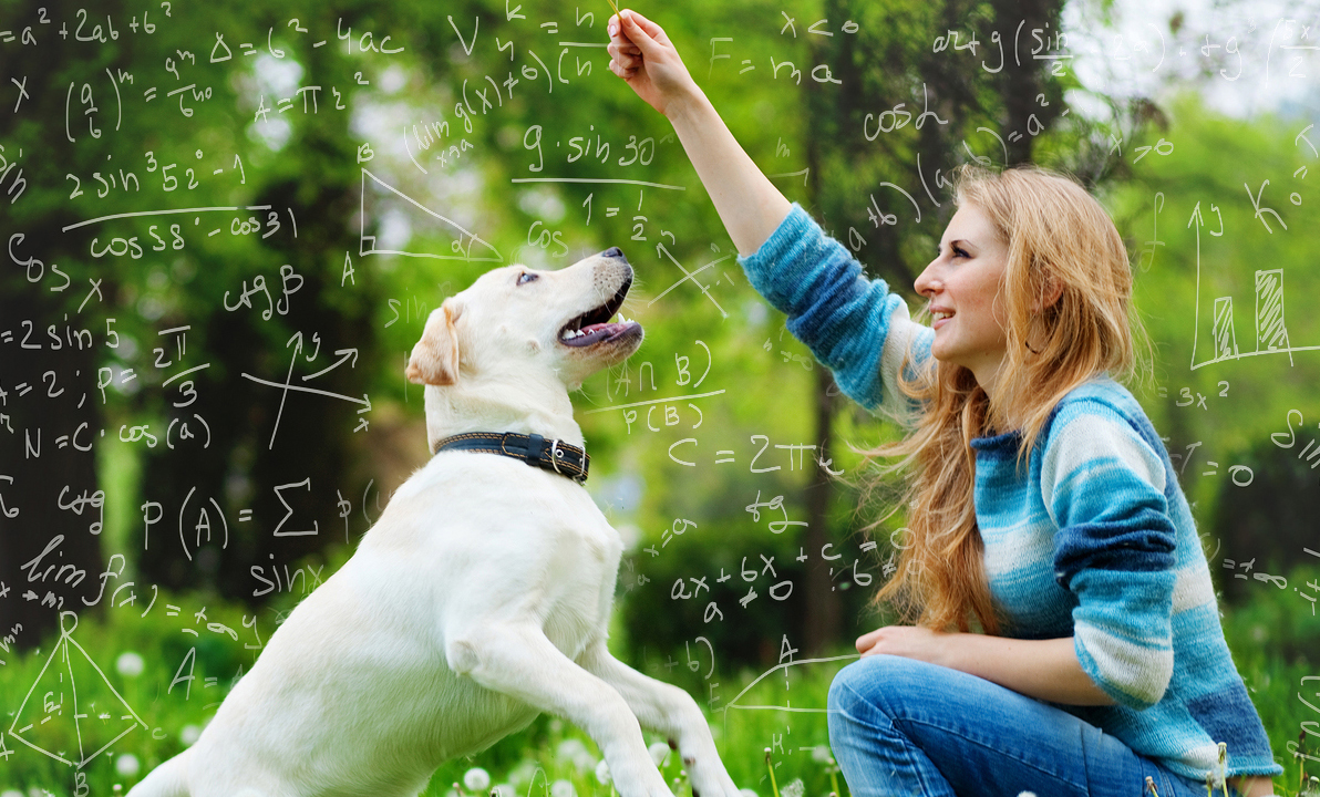 FREE SEMINAR ScienceBased Dog Training (with Feeling
