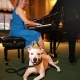 SteinwayHall.JPG