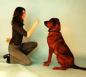014_Claude_Sit.png 014_Claude_Sit.png