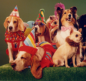 110_Costume_Dogs_1.png 110_Costume_Dogs_1.png