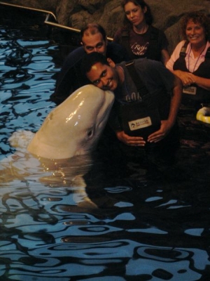 Beluga Whale and Me