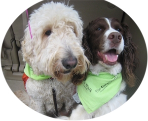 Rascal and Bean