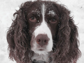 How could you not love that face!?