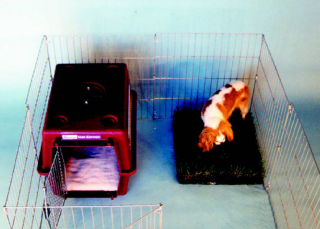 Houhouse Dog Club