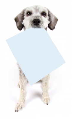 Dog_holding_paper.jpg Dog_holding_paper.jpg