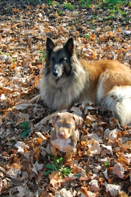 Chaos and his big sister Maggie