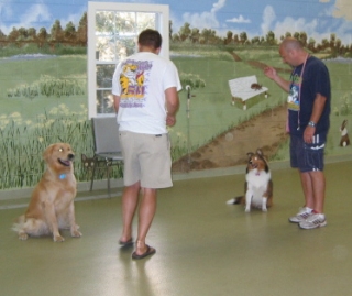 Training tools aren't required in this off-leash class