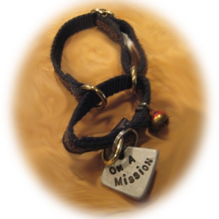 On a Mission Tag On a Mission